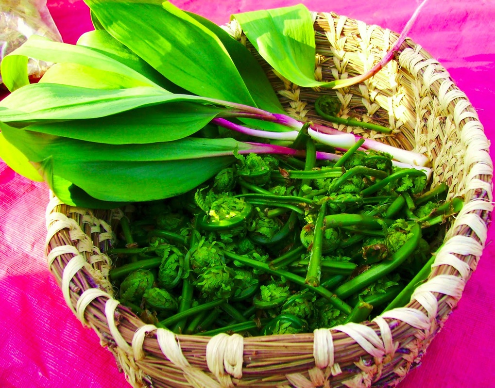 Wild Garden harvest